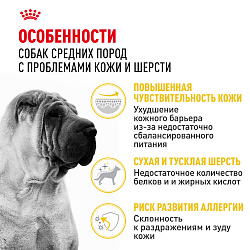 Сухой корм Royal Canin Medium Dermacomfort для взрослых средних пород 10 кг
